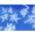 Central Stories -  Winter Arts & Crafts Workshops