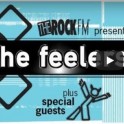 The Feelers 25th Anniversary Tour - Wanaka.