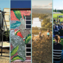 The Central Otago Wellbeing Project - Shaping Tomorrow Together