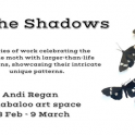 Hullabaloo Art Space - "In the Shadows" by Andi Regan
