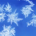 Central Stories -  Winter Arts & Crafts Workshops