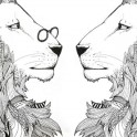 Live Like Lions: NZ Spring Tour - Queenstown