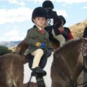 The Lake Hayes A&P Show