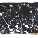 Central Stories Museum & Art Gallery - Jane Whitaker & Annemarie Hope-Cross - Meadow Image by Annemarie Hope-Cross
