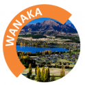 Art with Susie - Wanaka