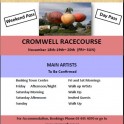 CROMWELL'S GOLD*N* NOTES HOEDOWN 2016