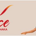 Dance Exchange Workshops