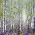 Wandering Through the Seasons - Rachael Errington