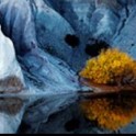 NZ Photography Workshops