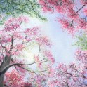 Blossom Festival Art Exhibition