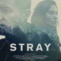 Central Cinema - Stray