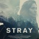 Arthurs Cinema - Stray.