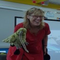 Sharon Holt - Te Reo Singalong Workshops.