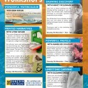 Southland Education - Dunedin Workshops.