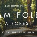 Artbay Gallery, Queenstown - A Forest by Sam Foley