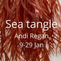 Hullabaloo Art Space -  'Sea Tangle' by Andi Regan