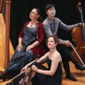 Nikau - Music for Harp, Violin and Cello
