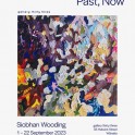 Gallery 33 - Views from the Past Now by Siobhan Wooding