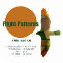 Hullabaloo Art Space - 'Flight Patterns' by Andi Regan