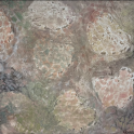 Artbay Gallery - Charlotte Graham Exhibition.