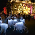 Dunedin Midwinter Carnival 2025
