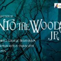 Cromwell College Jnr Production 2025 - Into the Woods