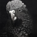 Artbay Gallery - Gareth Barlow, Through the Veil.