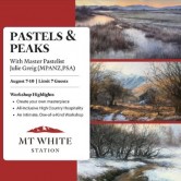 Mt White Station - Pastels and Peaks Workshop with Master Pastelist Julie Greig Artist (MPANZ, PSA).