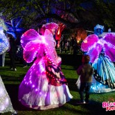 Alexandra Blossom Festival 2025