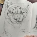 Drawing classes for kids - Term 3, 2025 (Alexandra)