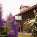 Speargrass Inn - Hinton Estate Artist Exhibition