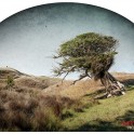 The 25th Wanaka Autumn Art School - Registration Now Open