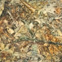 Quail in Oak Leaves - Watercolour (2421x1731)