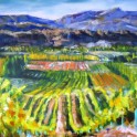 hintons orchard, alexandra - oil on canvas (110 cm x 90 cm)