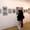 Photographic Competition 'Lines' 2012.